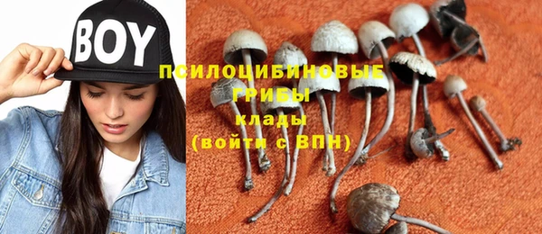 гидропоника Баксан